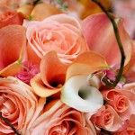 natalie rodney 6 150x150 natalie + rodney :: posey county wedding