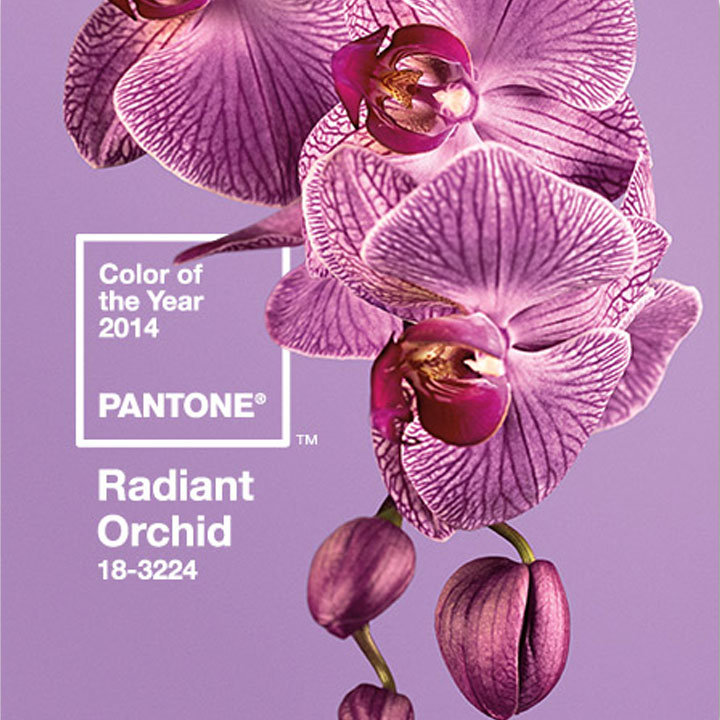 radiant-orchid-pantone